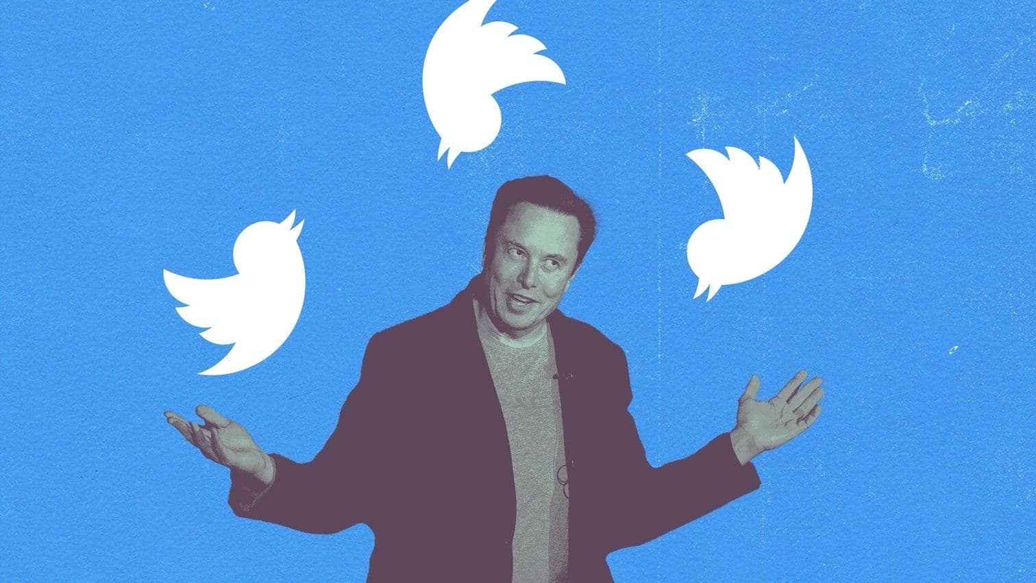 IS ELON MUSK Worthy of a (blue tick) APPROVAL?